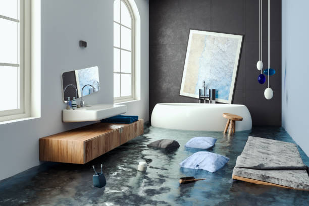 Water damage restoration mold remediation in Gainesville, TX