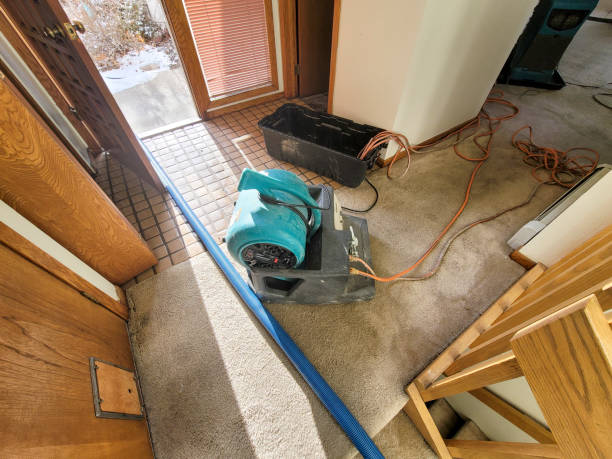 Best Local water damage restoration  in Gainesville, TX