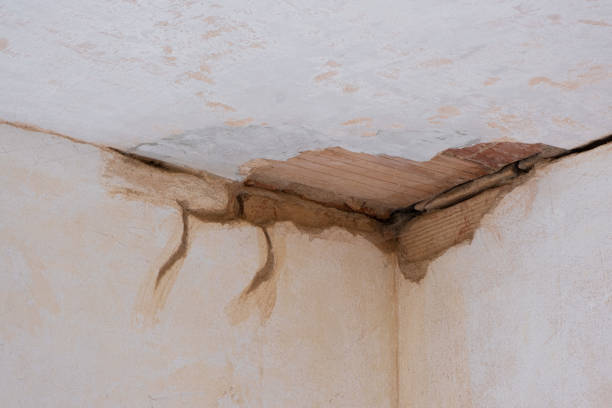 Best Commercial water damage restoration  in Gainesville, TX