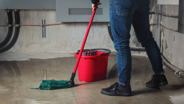 Best Water damage restoration mold remediation  in Gainesville, TX