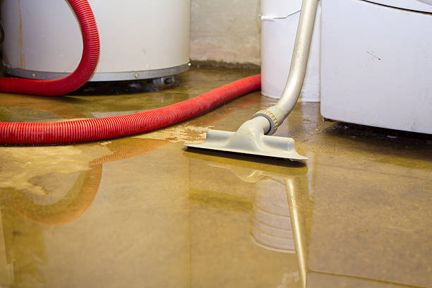 Best Carpet water damage restoration  in Gainesville, TX
