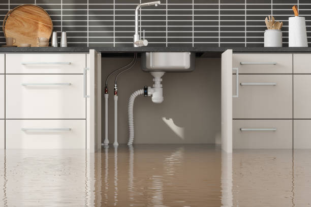 Best Water damage contractors near me  in Gainesville, TX