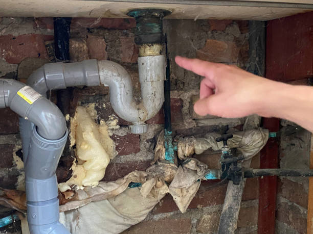 Best Water damage restoration specialists  in Gainesville, TX