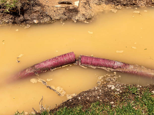 Best 24-hour water damage restoration  in Gainesville, TX